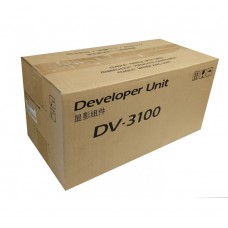 DV-3100 2LV93080